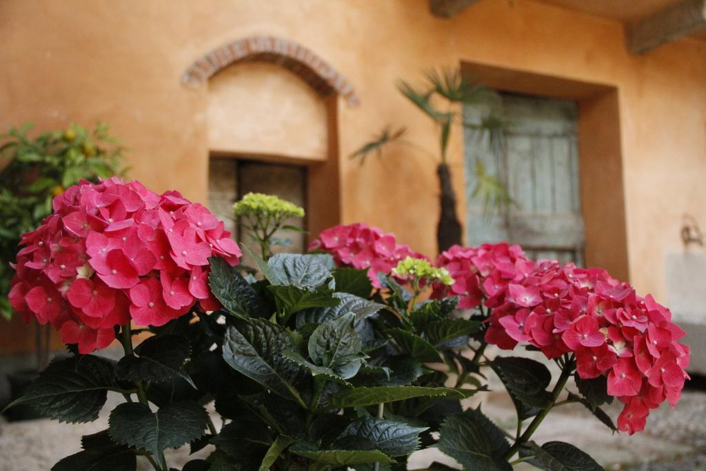 Apartamento Borgo Archinto Robecco sul Naviglio Exterior foto